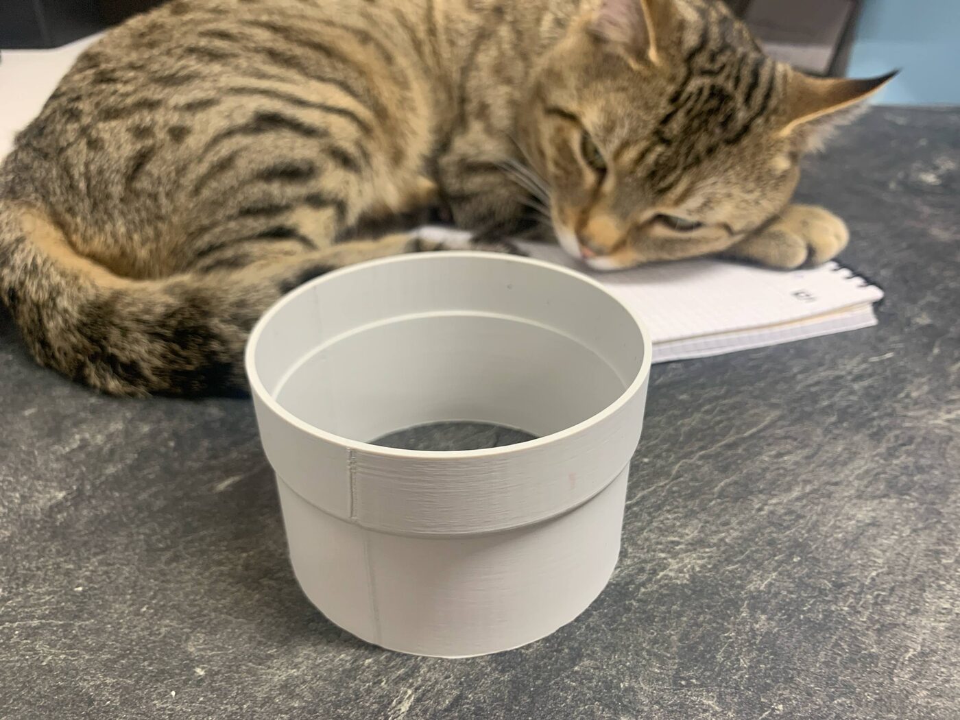 Ein frisch 3D-gedruckter weißer Kunststoffring auf dem Arbeitstisch, dahinter eine getigerte Katze, die auf einem Notizblock döst