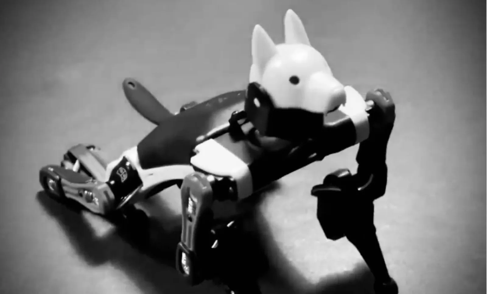 Handtellergroßer Roboterhund Bittle mit spitzen Ohren auf einer Tischplatte, Schwarzweißaufnahme